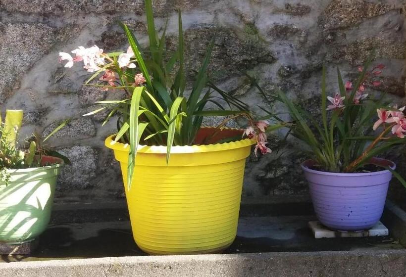 فندق Casa Serra Do Lagar