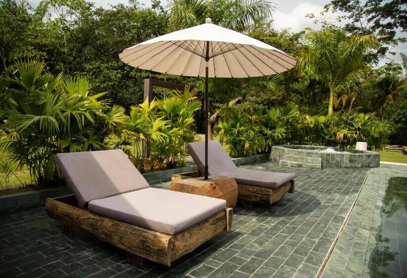 בית מלון כפרי El Rio