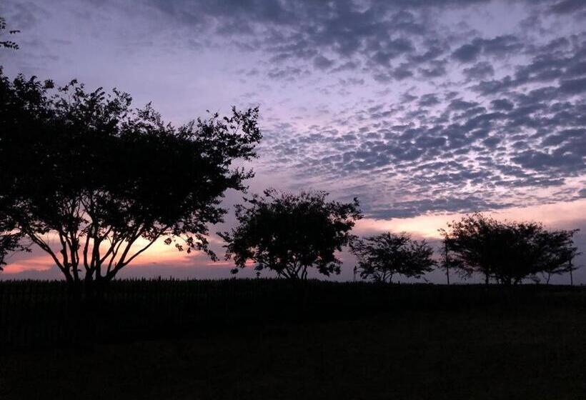 בית מלון כפרי Green Thumb Farm Stay