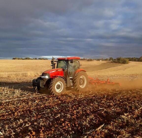 בית מלון כפרי Green Thumb Farm Stay