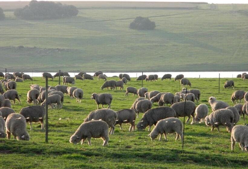 בית מלון כפרי Green Thumb Farm Stay