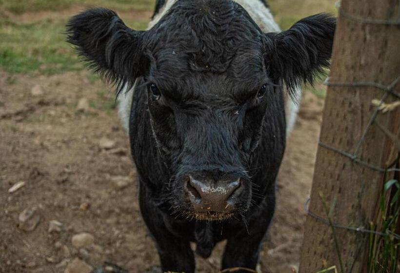 فندق Healing Ponds Farm