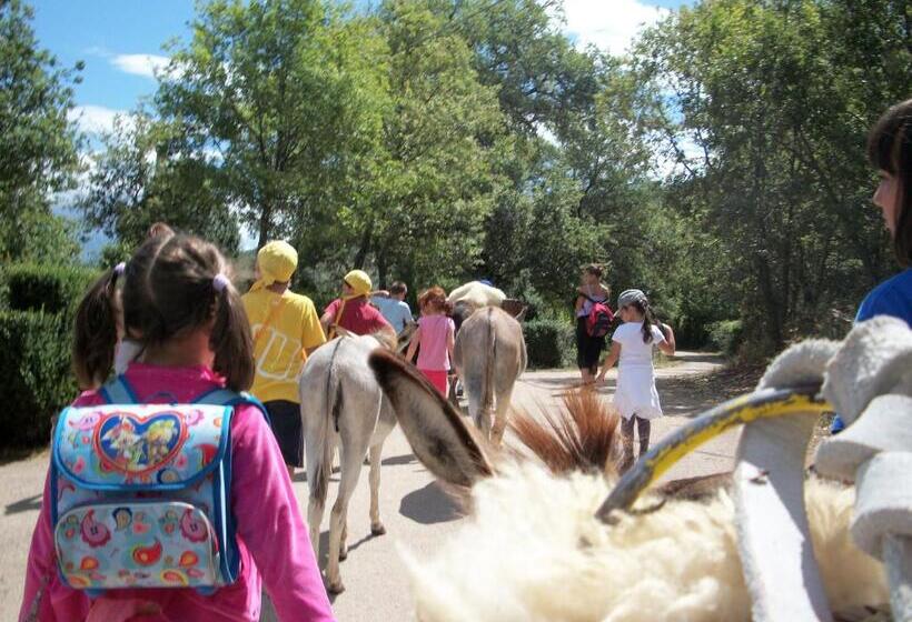 فندق Locanda Dell Asino D Oro