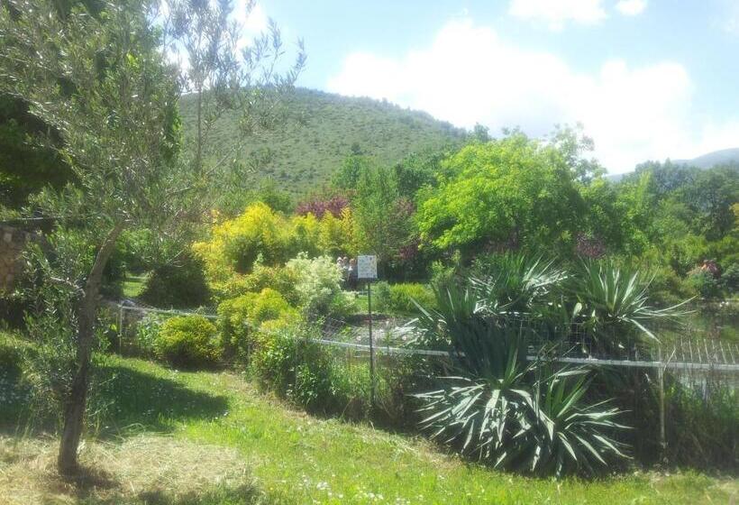 فندق Locanda Dell Asino D Oro