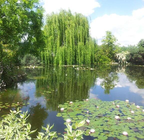 فندق Locanda Dell Asino D Oro