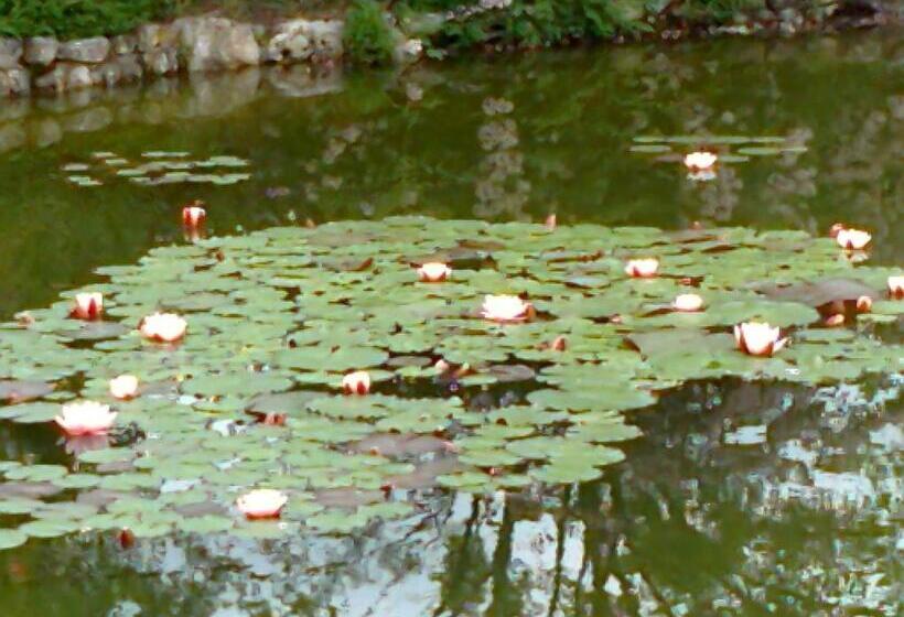 فندق Locanda Dell Asino D Oro