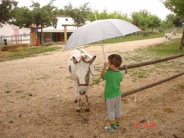 فندق Locanda Dell Asino D Oro