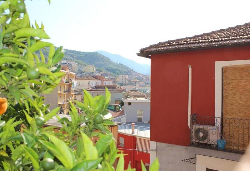 بنسيون Ali House