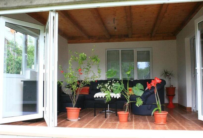 פנסיון Busta House