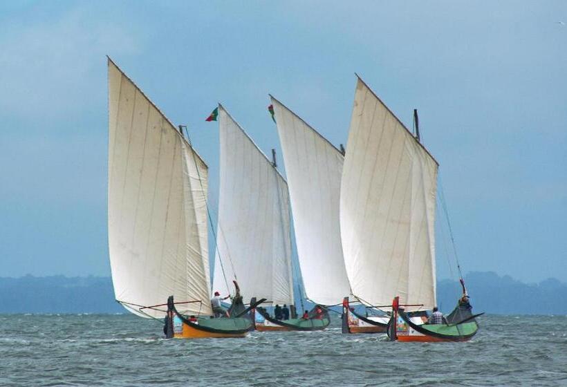 膳宿费 Casa Da Magnólia