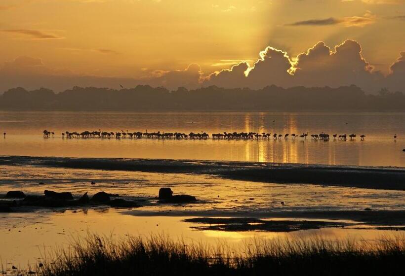 펜션 Casa Da Magnólia