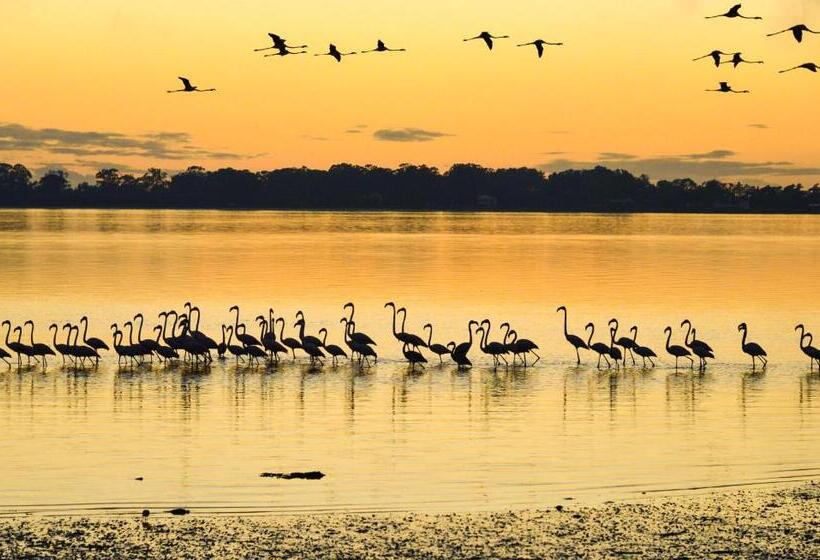 膳宿费 Casa Da Magnólia