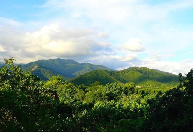 پانسیون Chateau Dzveli Gavazi