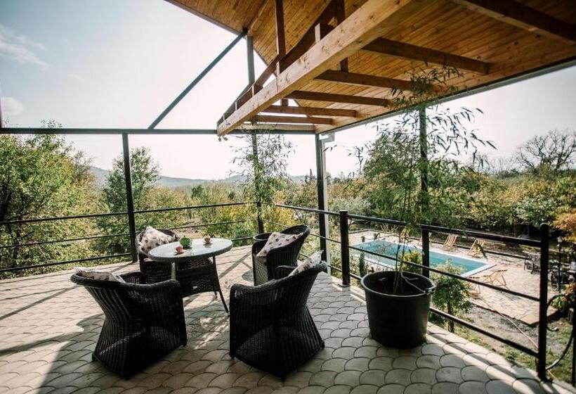 پانسیون Chateau Dzveli Gavazi