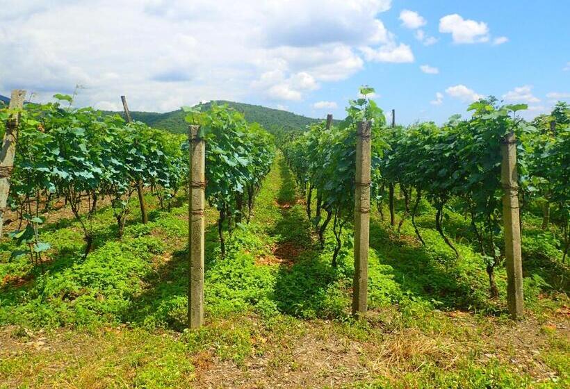 پانسیون Chateau Dzveli Gavazi