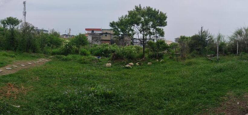 פנסיון D Cloud Guesthouse