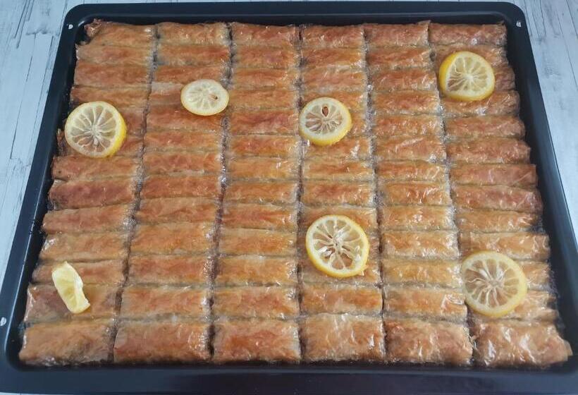 پانسیون Guesthouse Zimovski