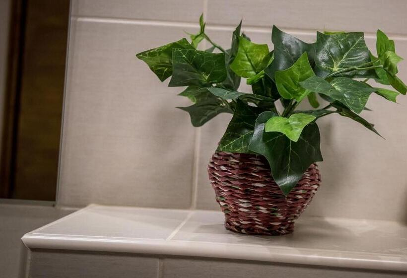 Пансион Mokka Apartman Szeged