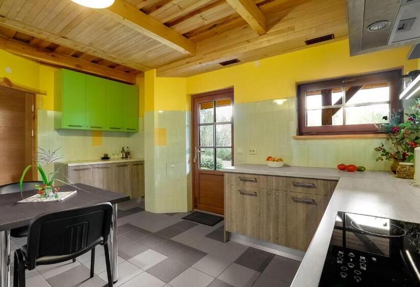 پانسیون Paegli Guest House