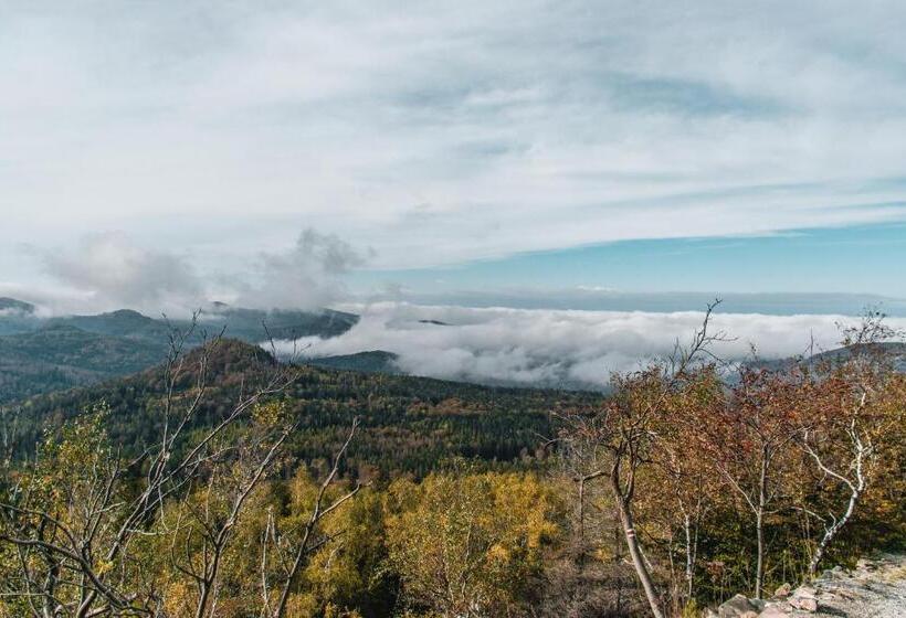 Пансион Penzion Jedlová