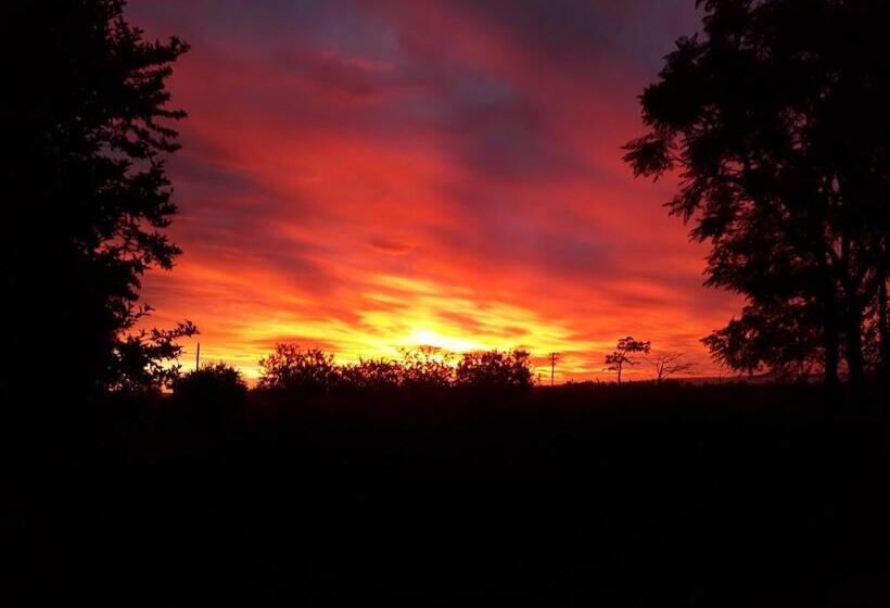 هاستل Orange Elephant Backpackers