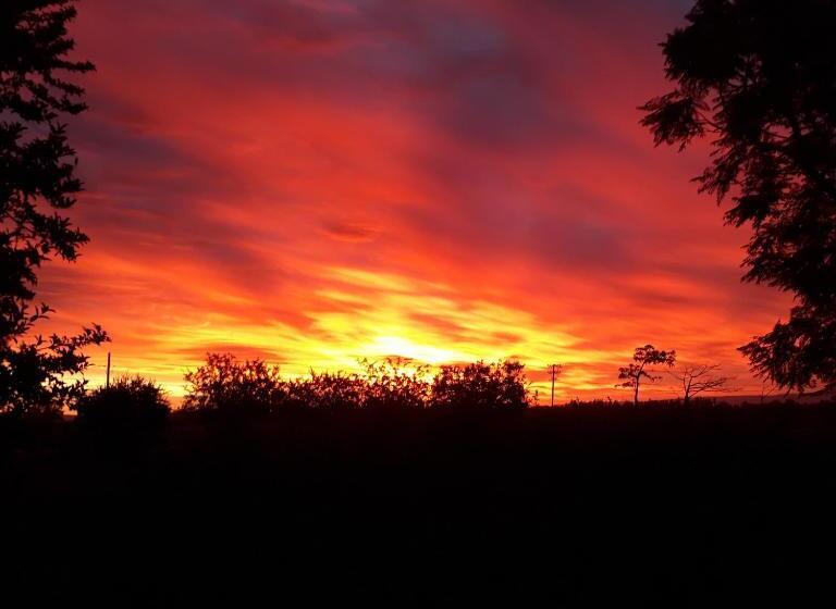 هاستل Orange Elephant Backpackers