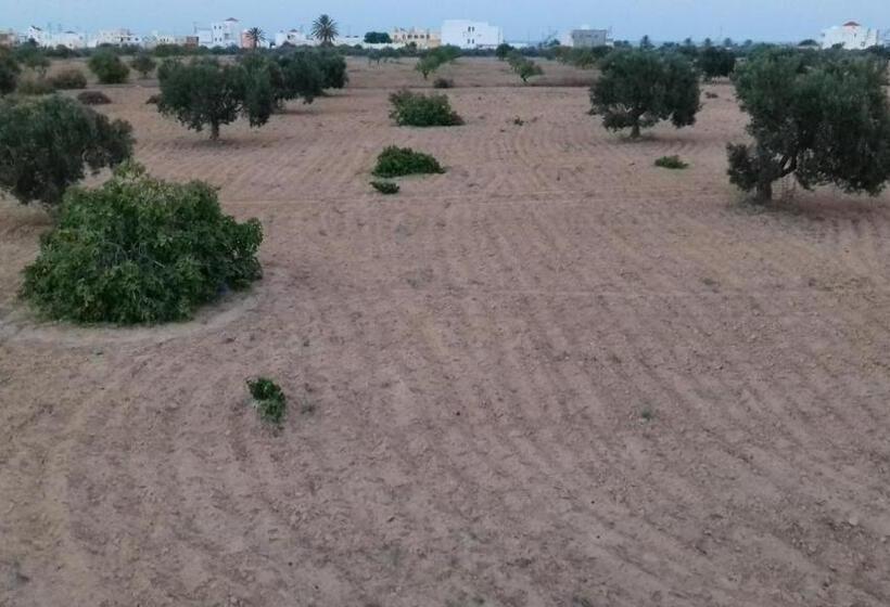مبيت وإفطار Dar Mamina