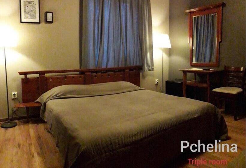 Family Hotel Pchelina