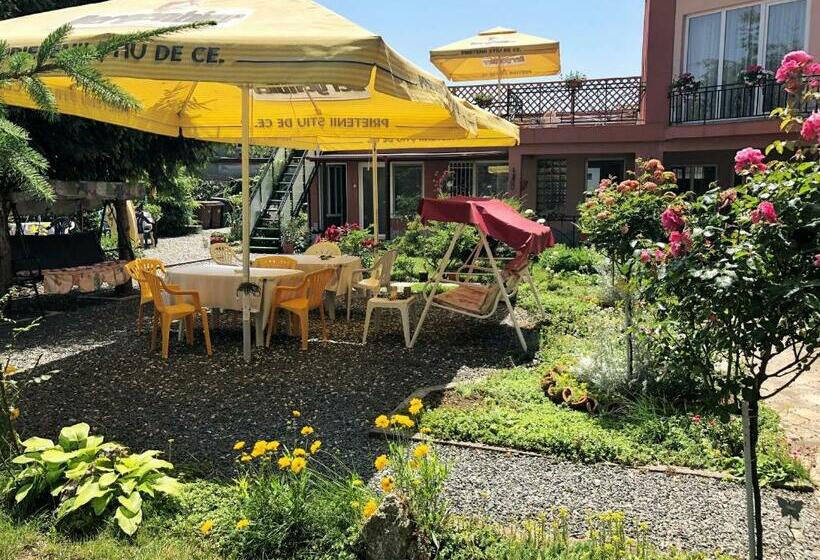 Пансион Casa Constantin Si Elena