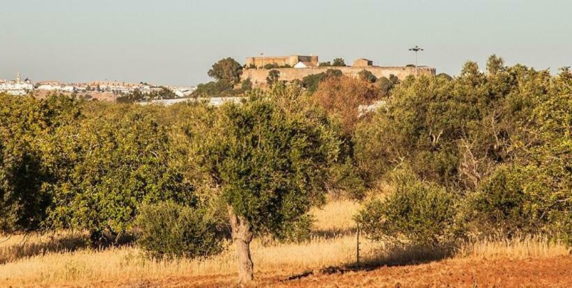 بنسيون Casa Natura
