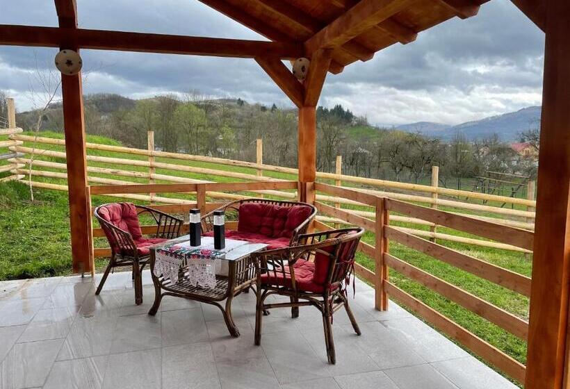 Пансион Conacul Maramureșean Bilgăr