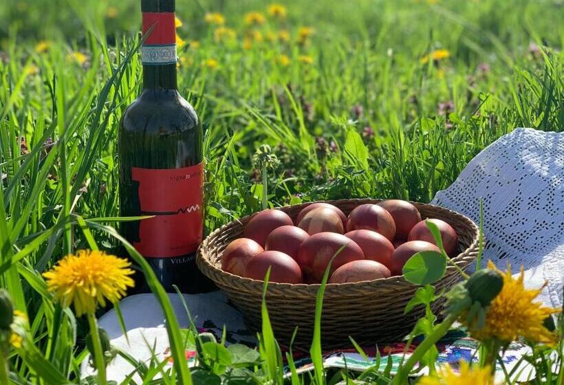 Пансион Conacul Maramureșean Bilgăr