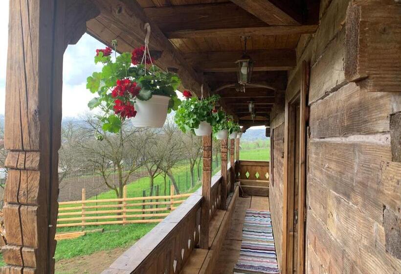 Пансион Conacul Maramureșean Bilgăr