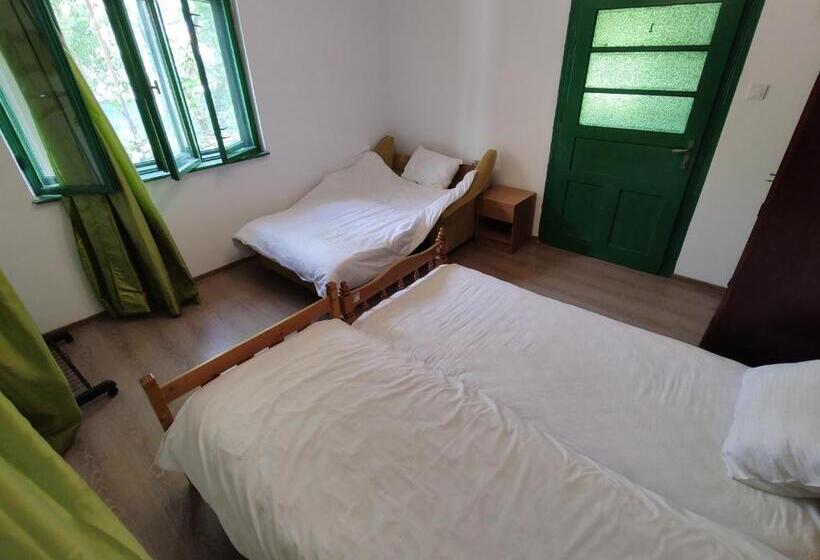 פנסיון La Tataia Zahei