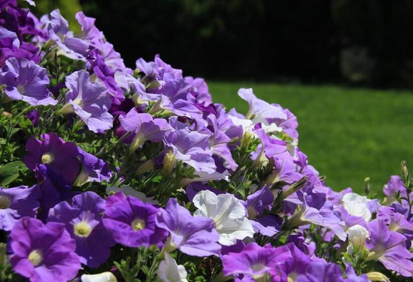 ホテル Sci Sport Rooms & Suites