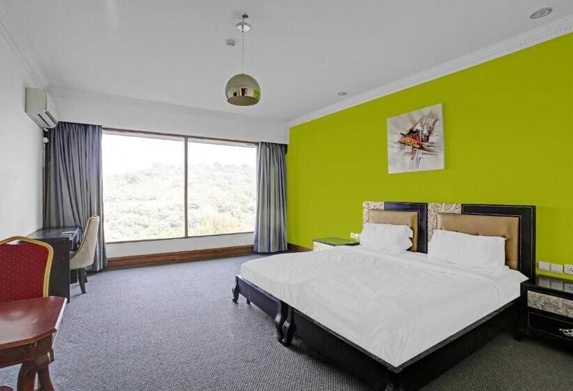 Townhouse Royal Palms Hotel   Daisy