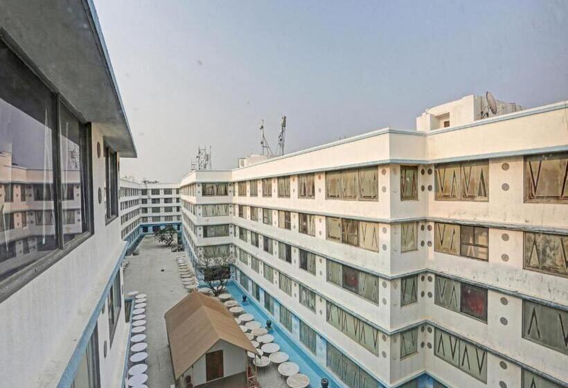 Townhouse Royal Palms Hotel   Daisy