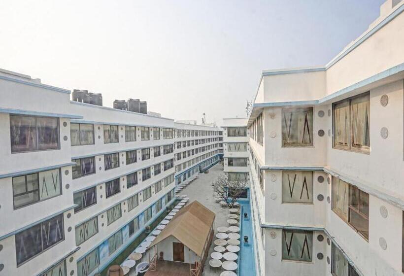 Townhouse Royal Palms Hotel   Daisy