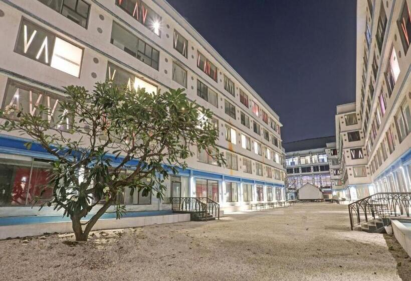 Townhouse Royal Palms Hotel   Daisy