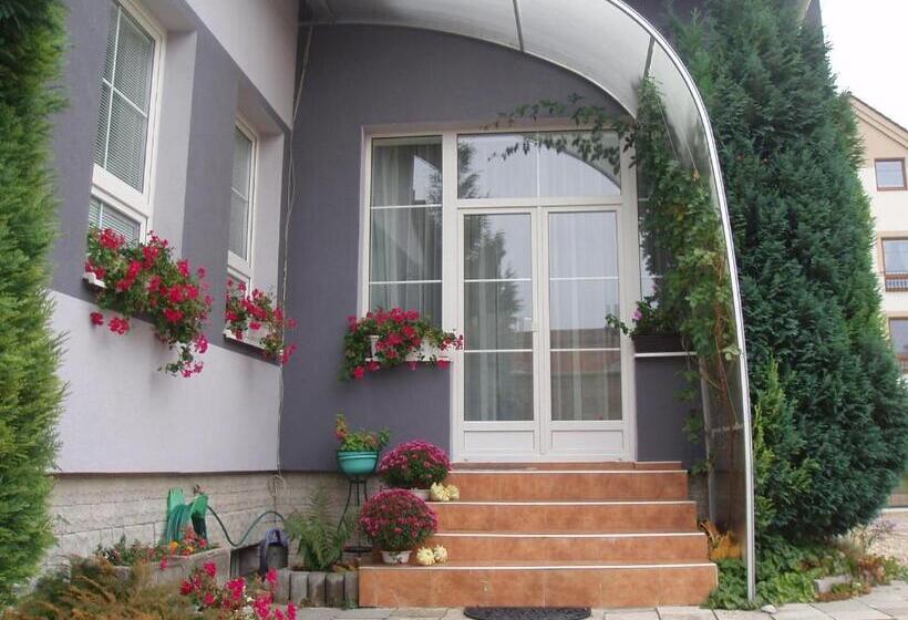 膳宿费 Penzion Axa