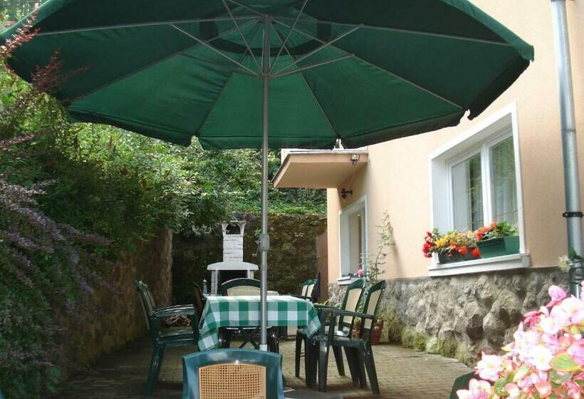 פנסיון Vila Intim