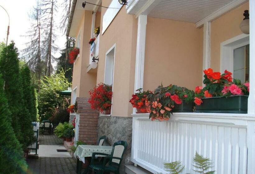 פנסיון Vila Intim