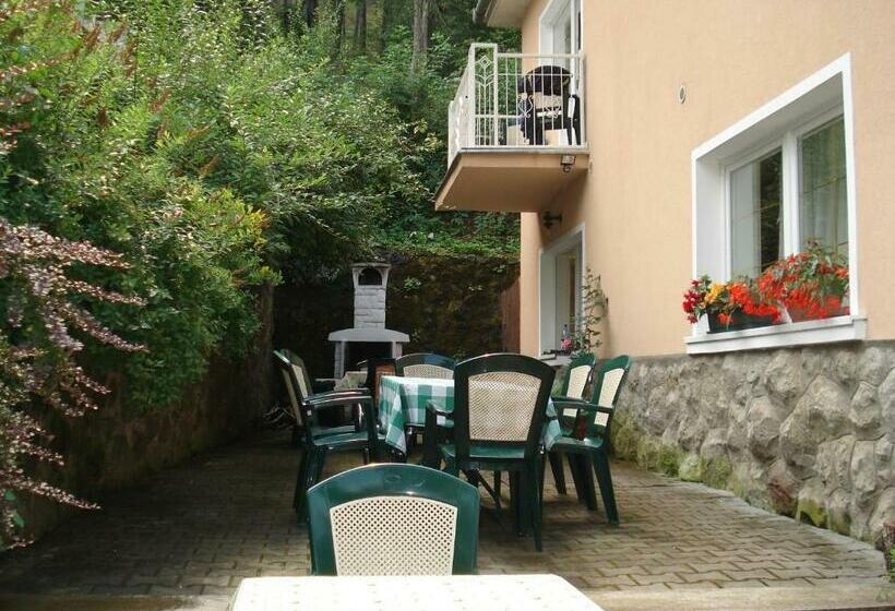 פנסיון Vila Intim