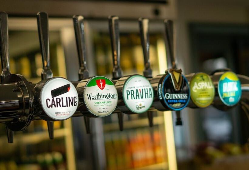 ホテル Aberystwyth Park Lodge