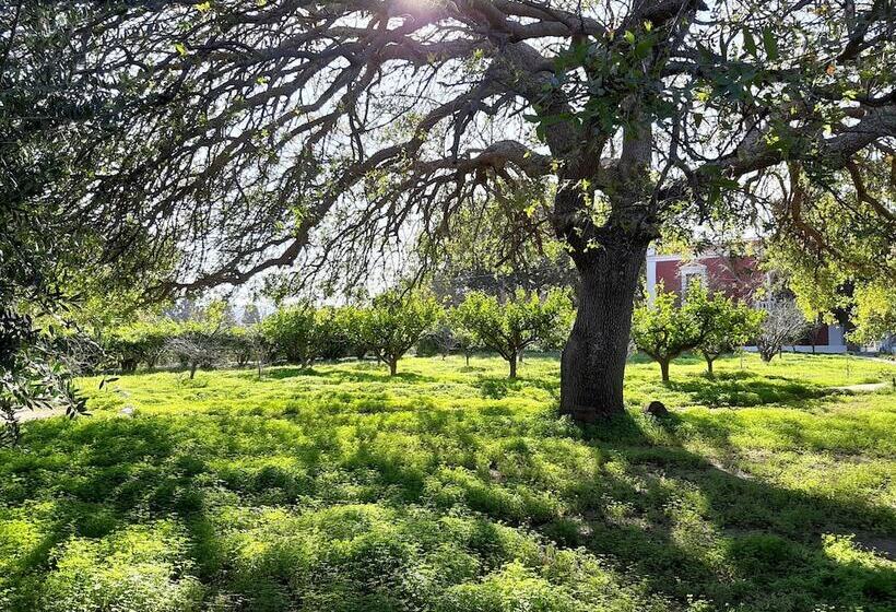 هتل Archontiko Angelou