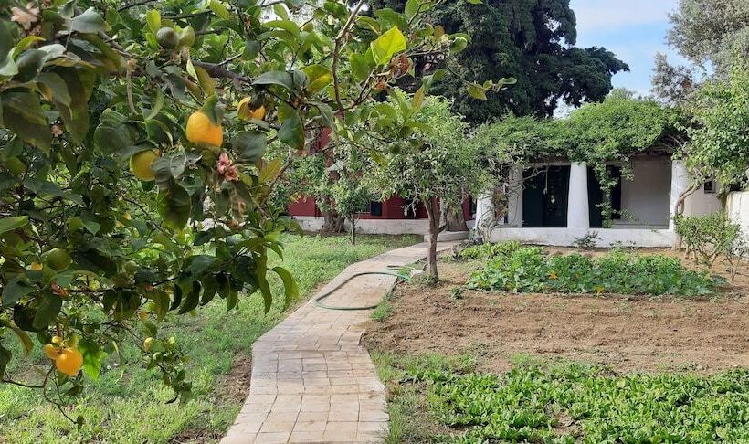 هتل Archontiko Angelou