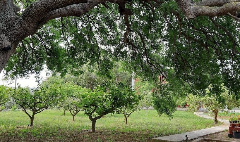 هتل Archontiko Angelou