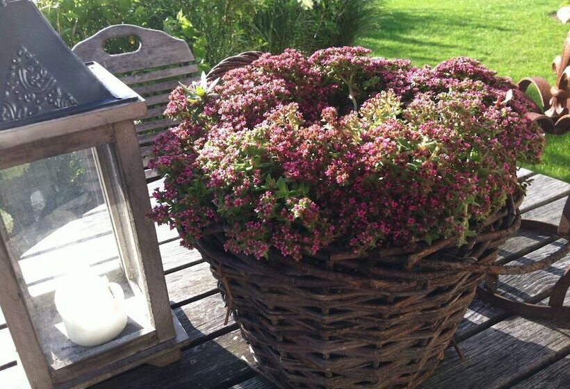 בית מלון כפרי Baltik Kunst