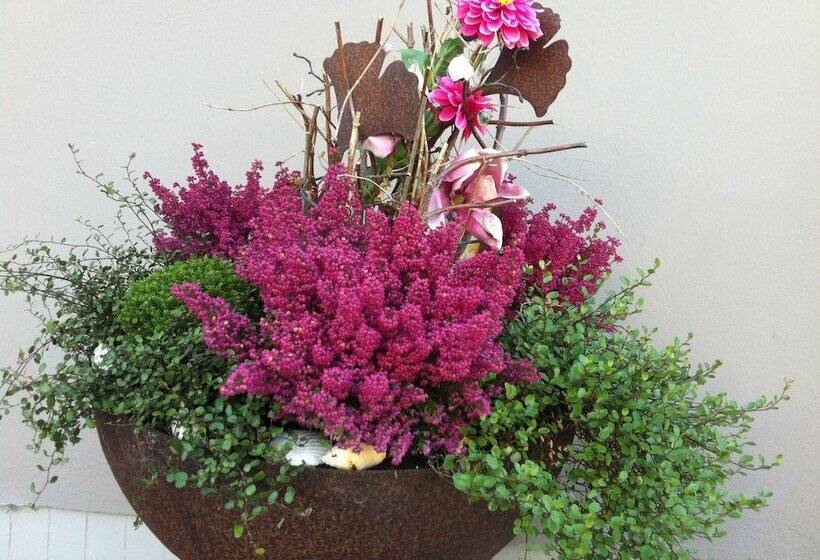 בית מלון כפרי Baltik Kunst