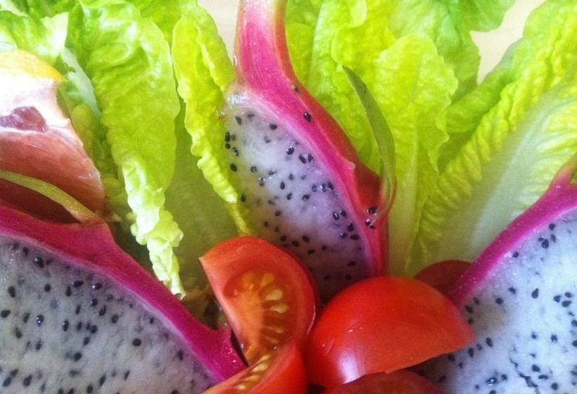 בית מלון כפרי Baltik Kunst